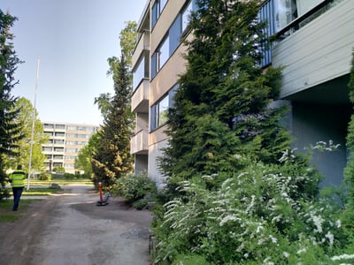 tuomi still ulkoa